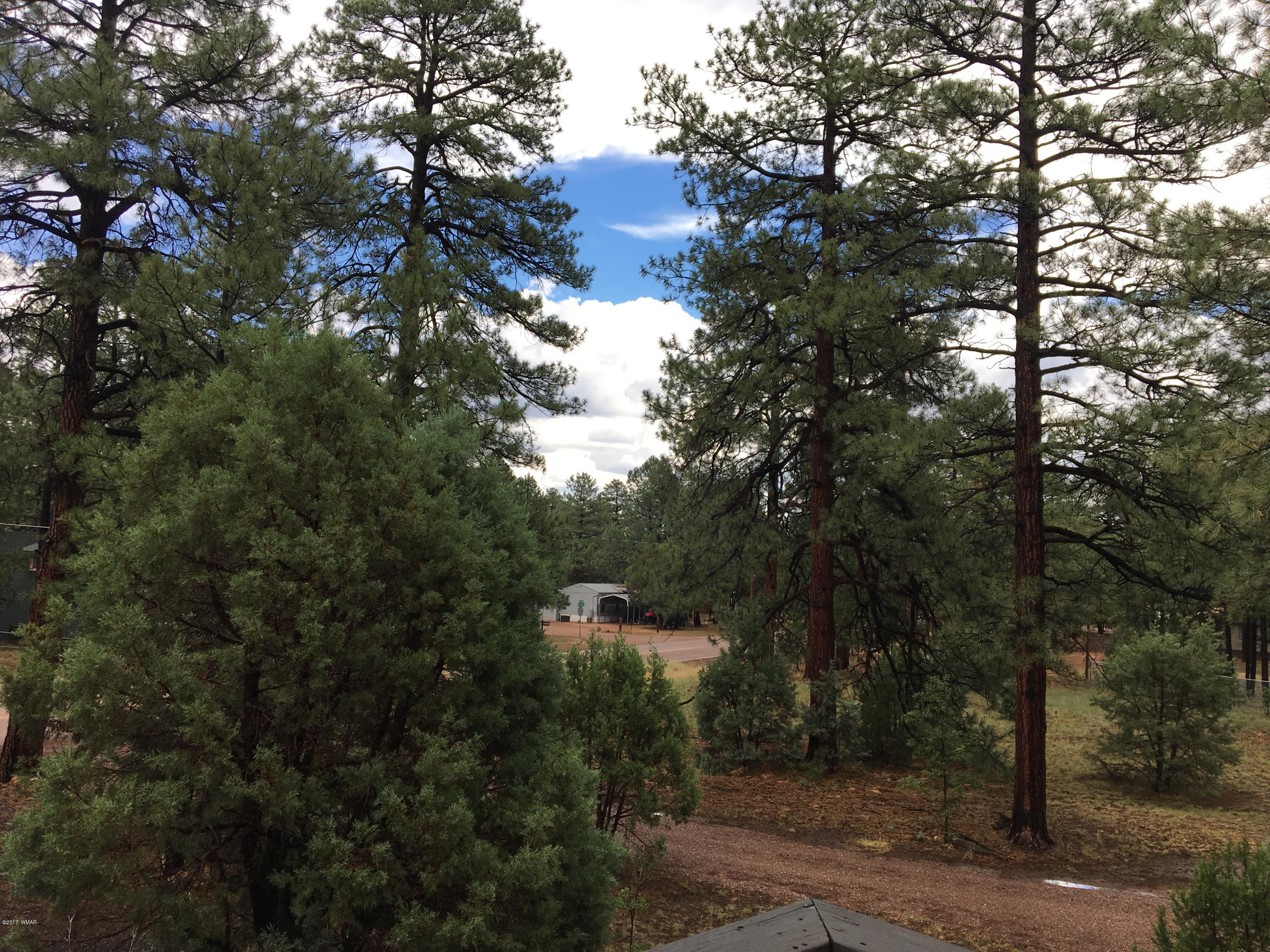 2876 Pine Rim Road Overgaard, AZ 85933 - Photo 21 of 28