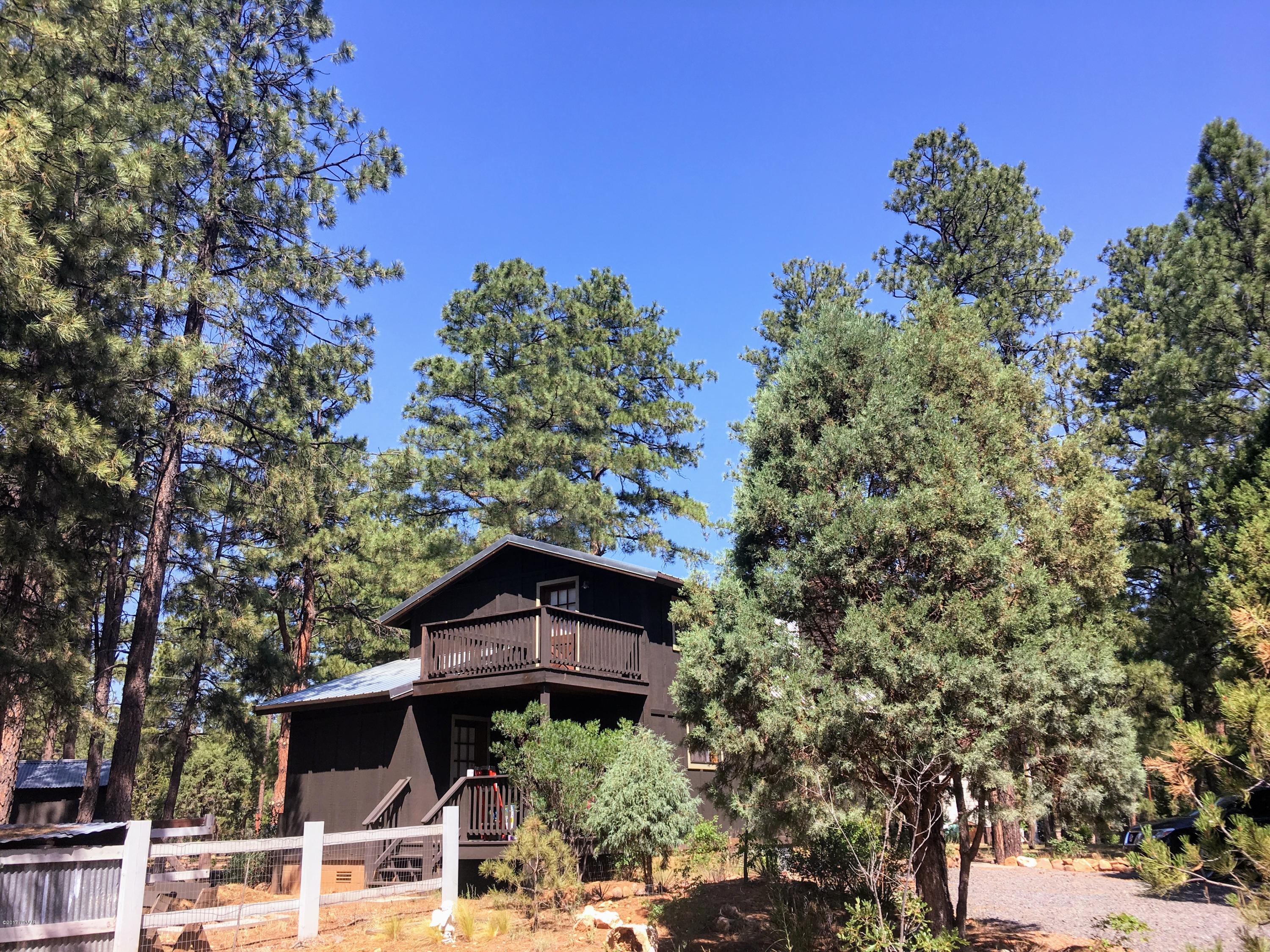 2876 Pine Rim Road Overgaard, AZ 85933 - Photo 22 of 28