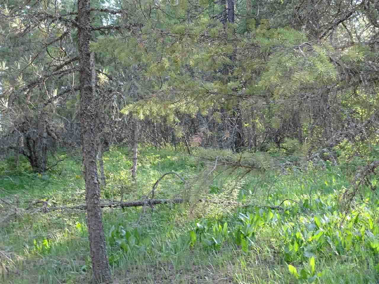 0 North Sands Road Chattaroy, WA 99003 - Photo 3 of 4