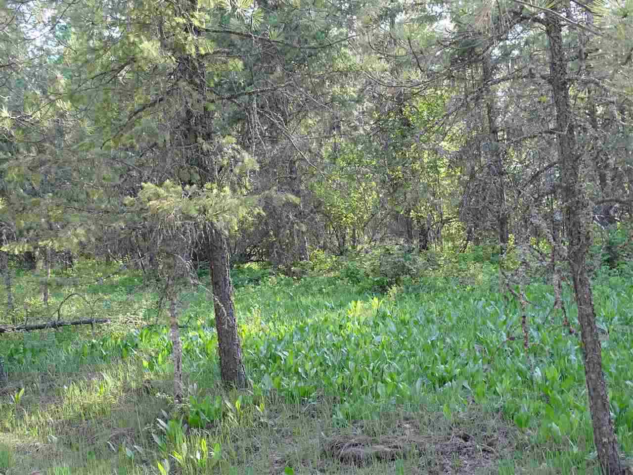 0 North Sands Road Chattaroy, WA 99003 - Photo 4 of 4
