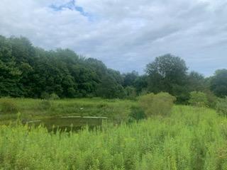 Lot Greenlee Road Polk, PA 16145 - Photo 5 of 8