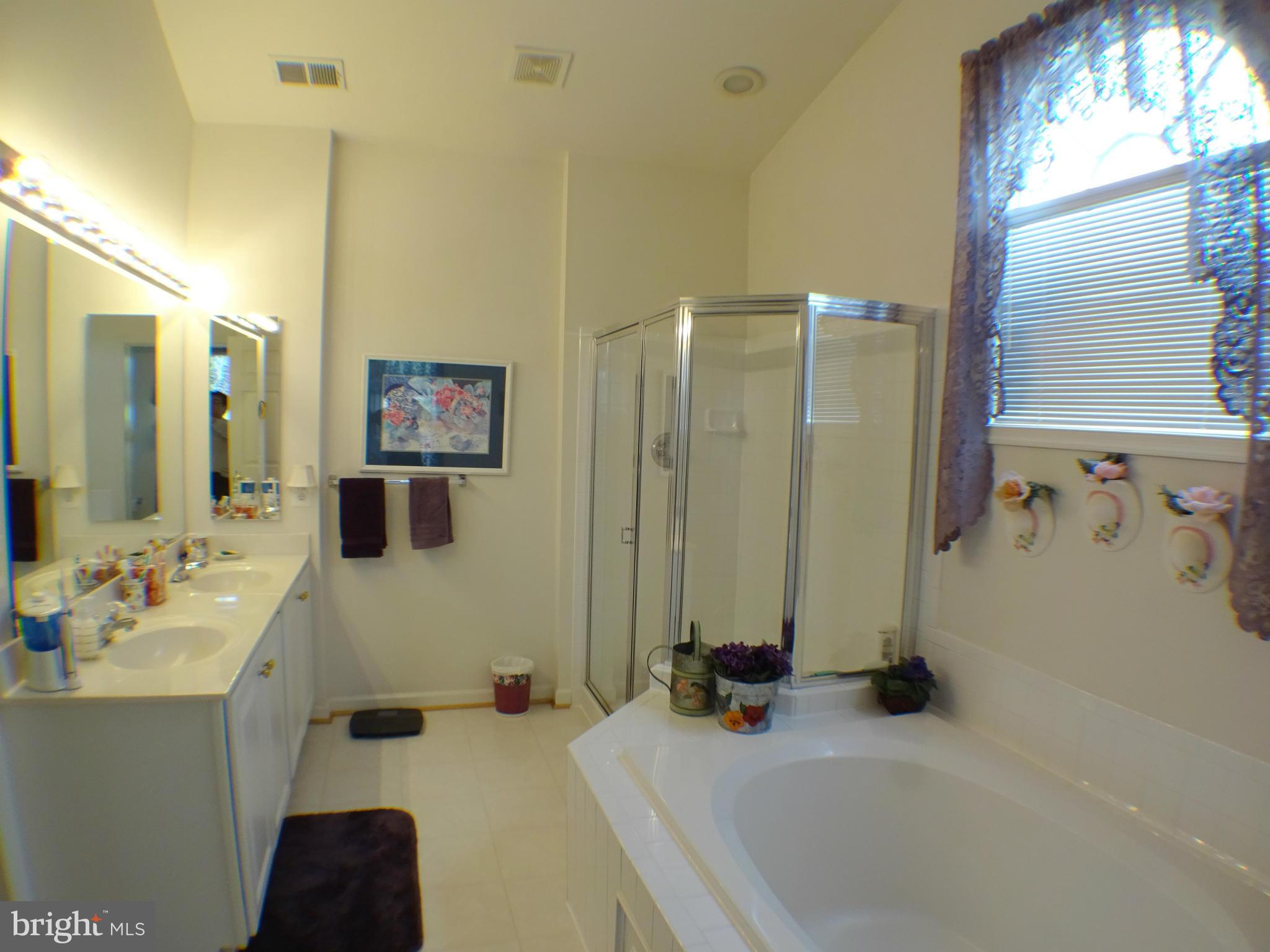 13836 Lullaby Road Germantown, MD 20874 - Photo 19 of 29 Bath (Master)