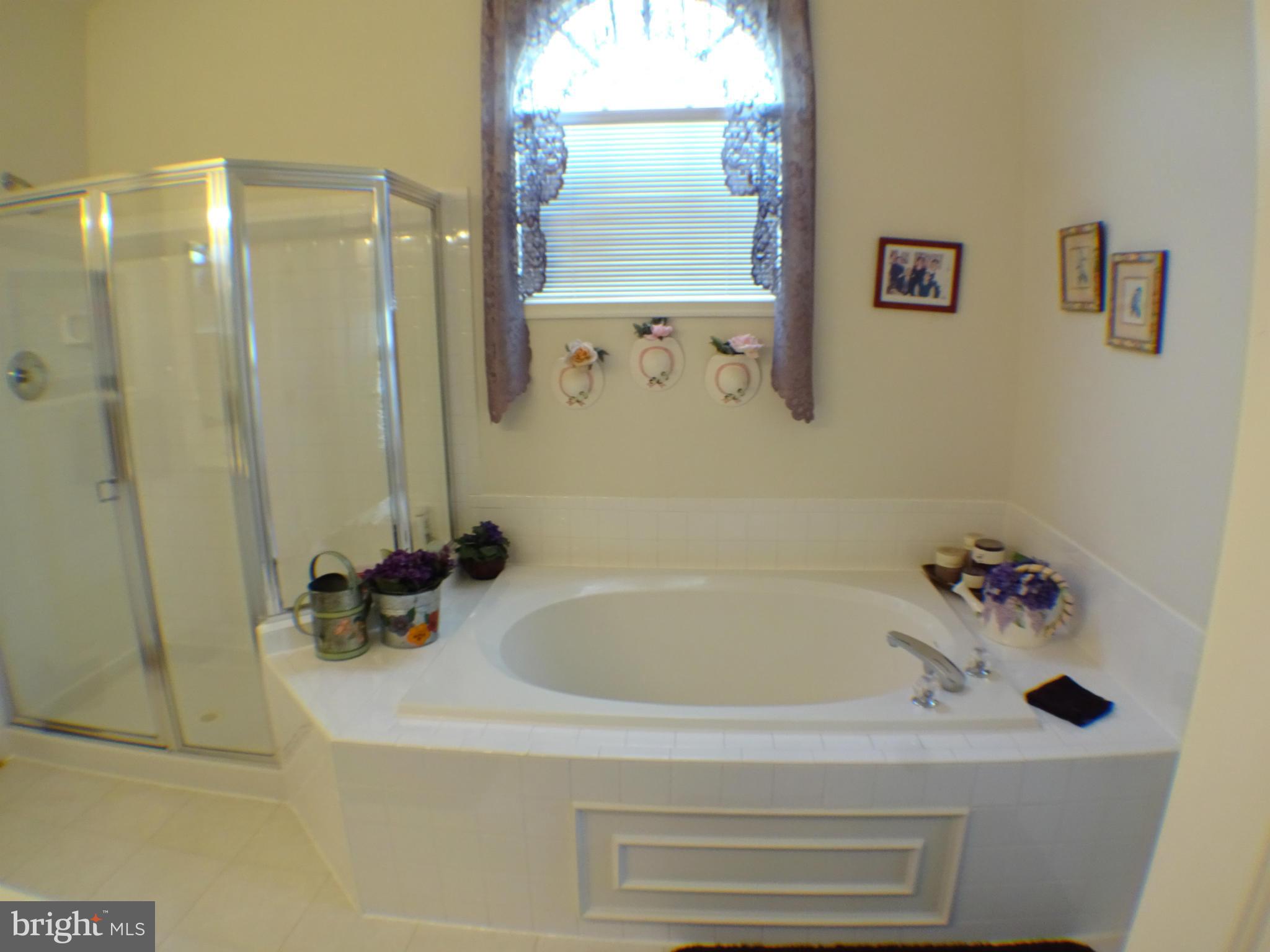 13836 Lullaby Road Germantown, MD 20874 - Photo 20 of 29 Bath (Master)