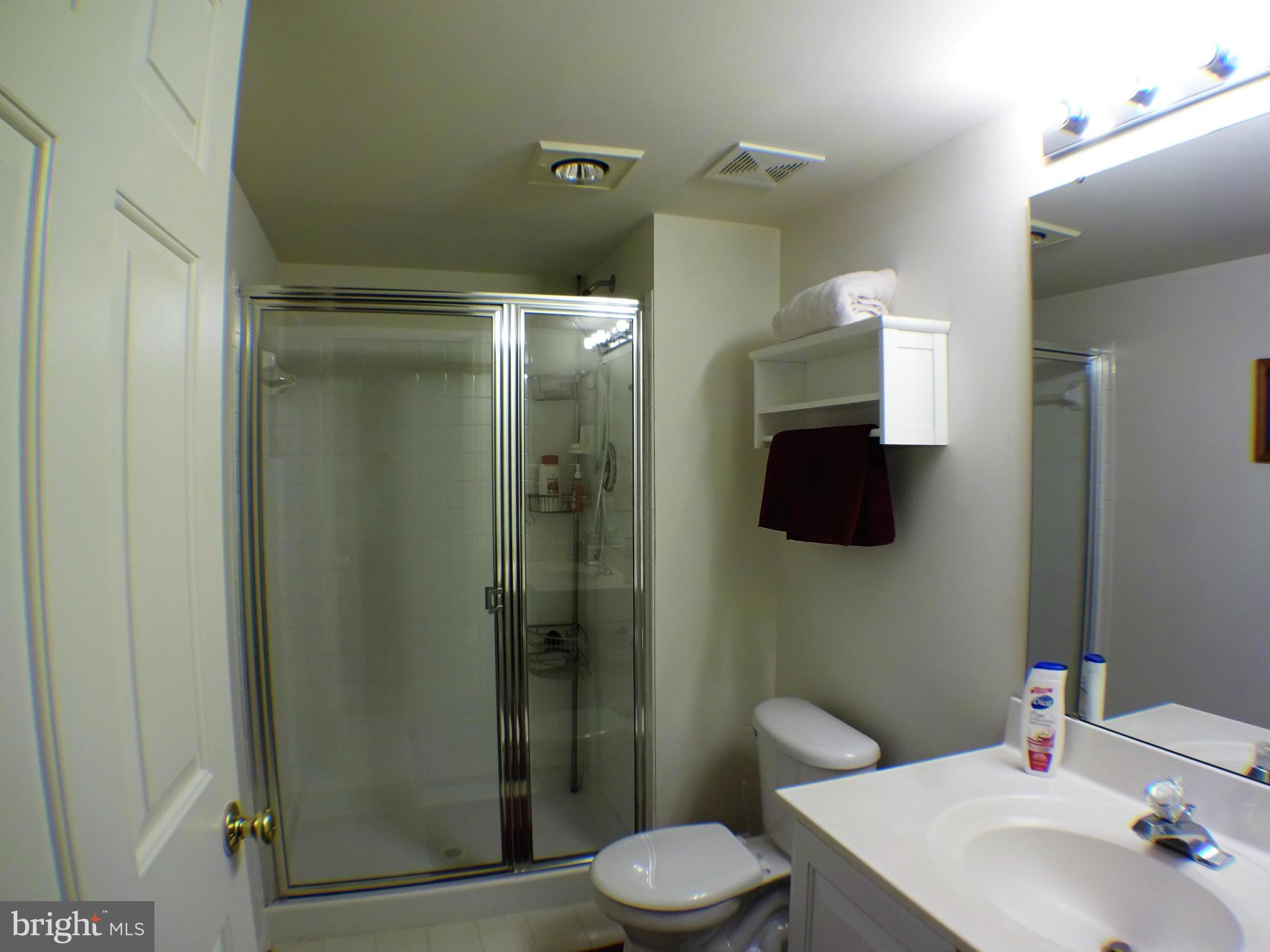 13836 Lullaby Road Germantown, MD 20874 - Photo 29 of 29 Basement Full Bath