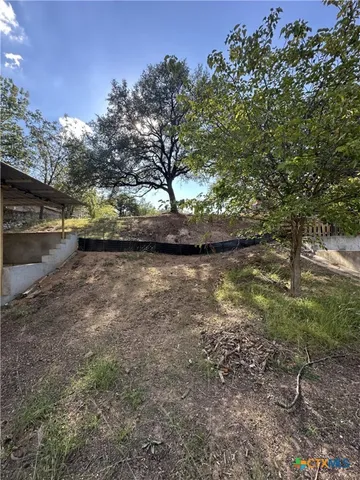 a view of yard with trees