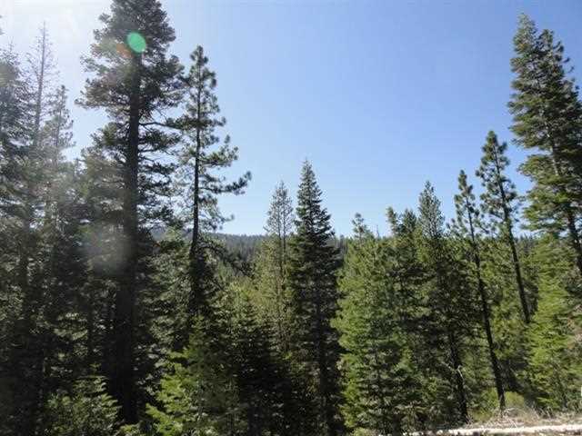 8040 River Road Truckee, CA 96161 - Photo 14 of 14 Gallery Image 14