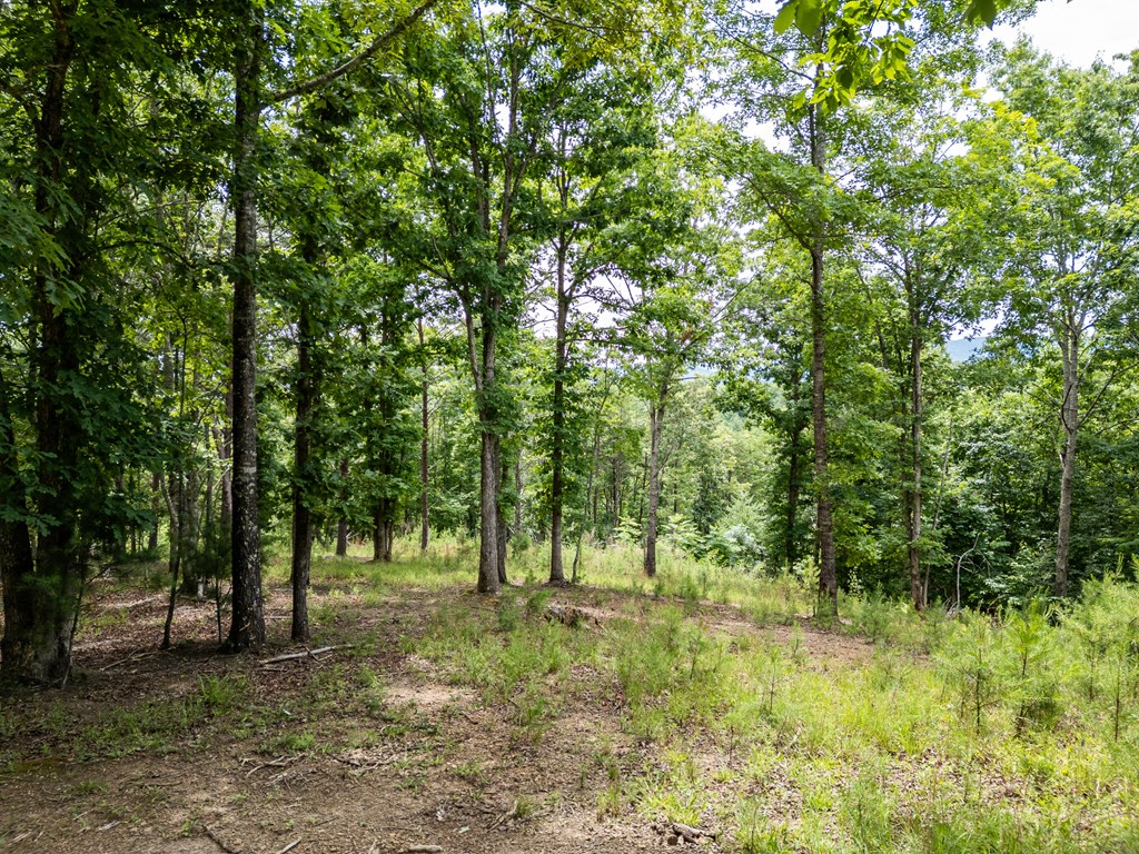 1 Stormy Ridge Brasstown, NC 28902 - Photo 6 of 20
