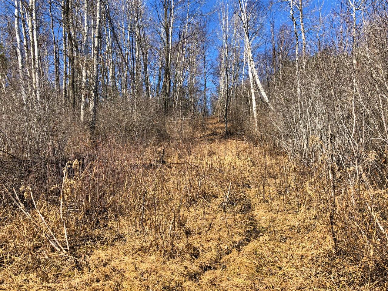 W7523 Vinette's Landing Road Ladysmith, WI 54848 - Photo 6 of 7 Gallery Image 6