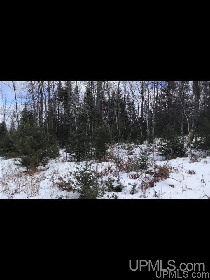 Tbd Swamp Road Powers, MI 49874 - Photo 12 of 30