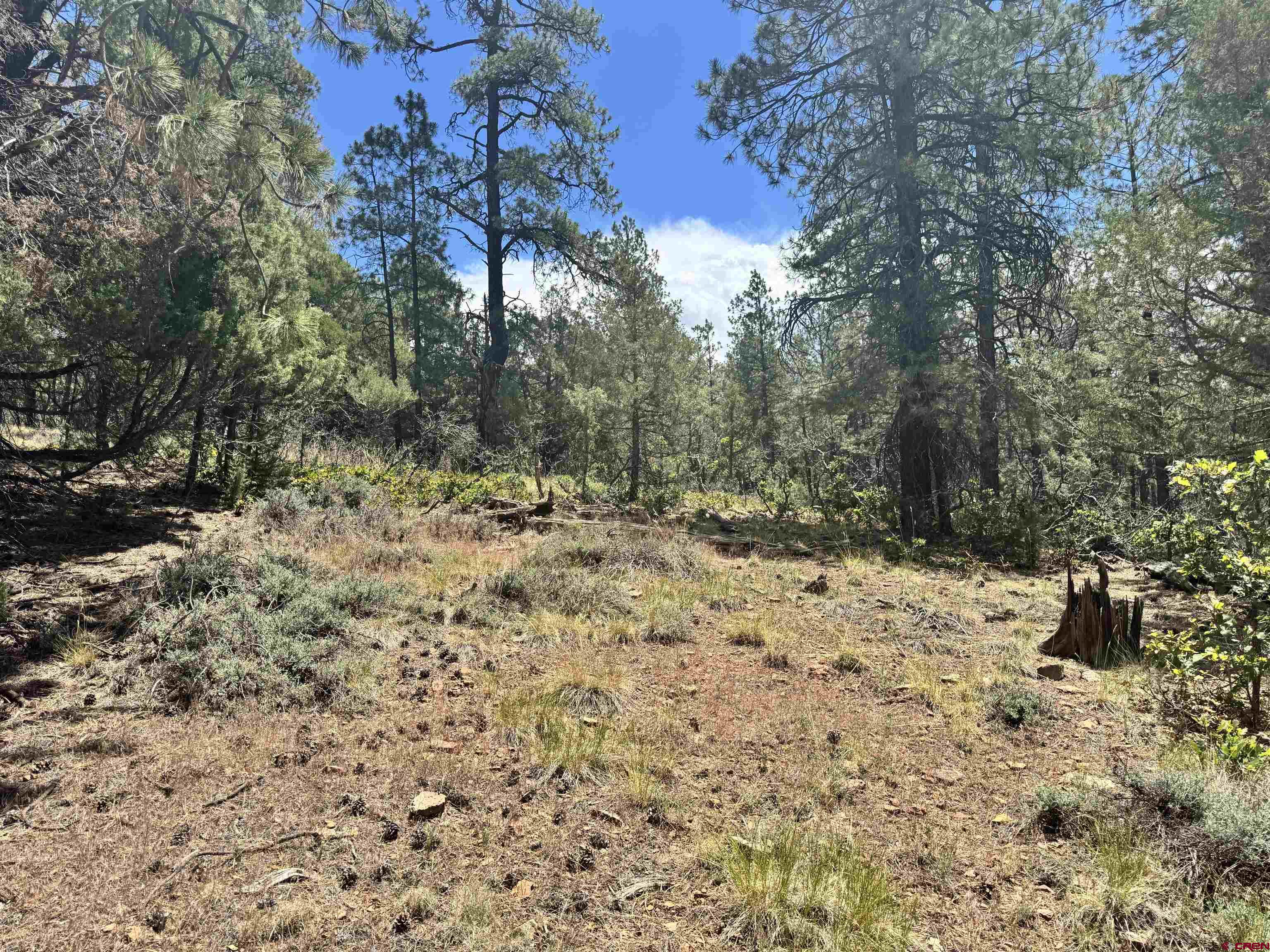1259 Westview Road Pagosa Springs, CO 81147 - Photo 24 of 29