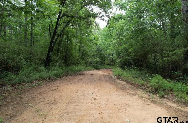 a view of a dirt road with trees in the background