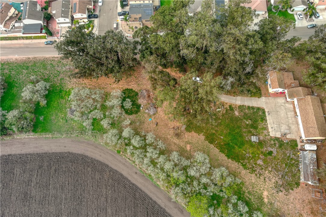 2845 Cienaga Street Oceano, CA 93445 - Photo 17 of 20 a view of a yard with plants and a bench
