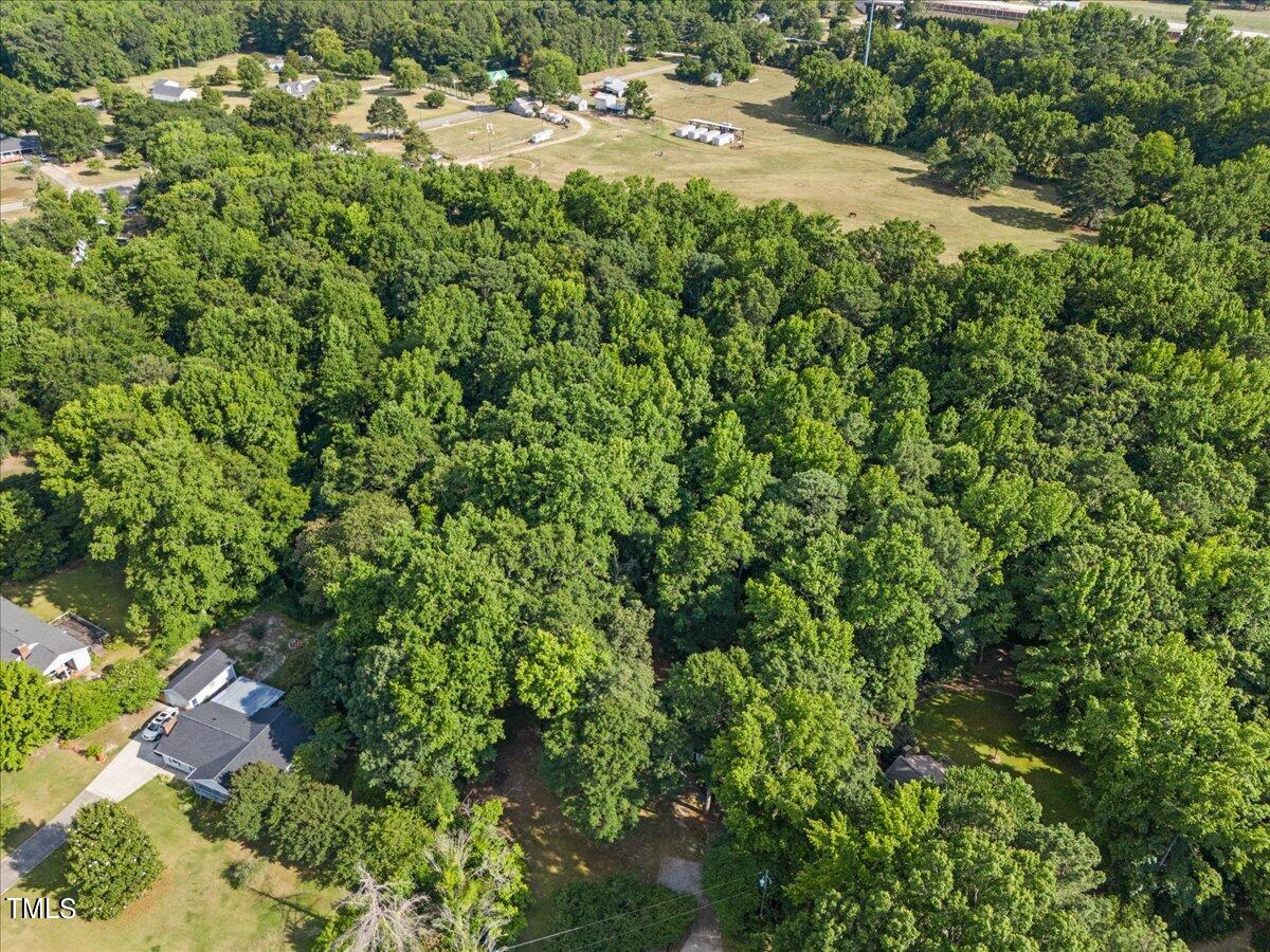 1408 Roy Averette Drive Raleigh, NC 27603 - Photo 30 of 31 a view of a yard with plants