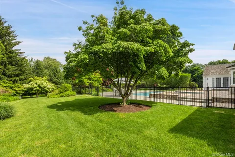 a view of a park with a tree