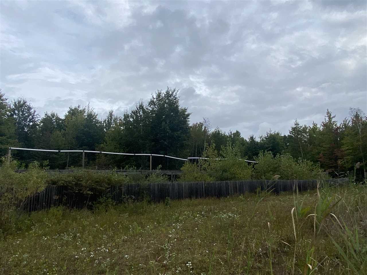 14660 South Chapin Road Elsie, MI 48831 - Photo 8 of 19