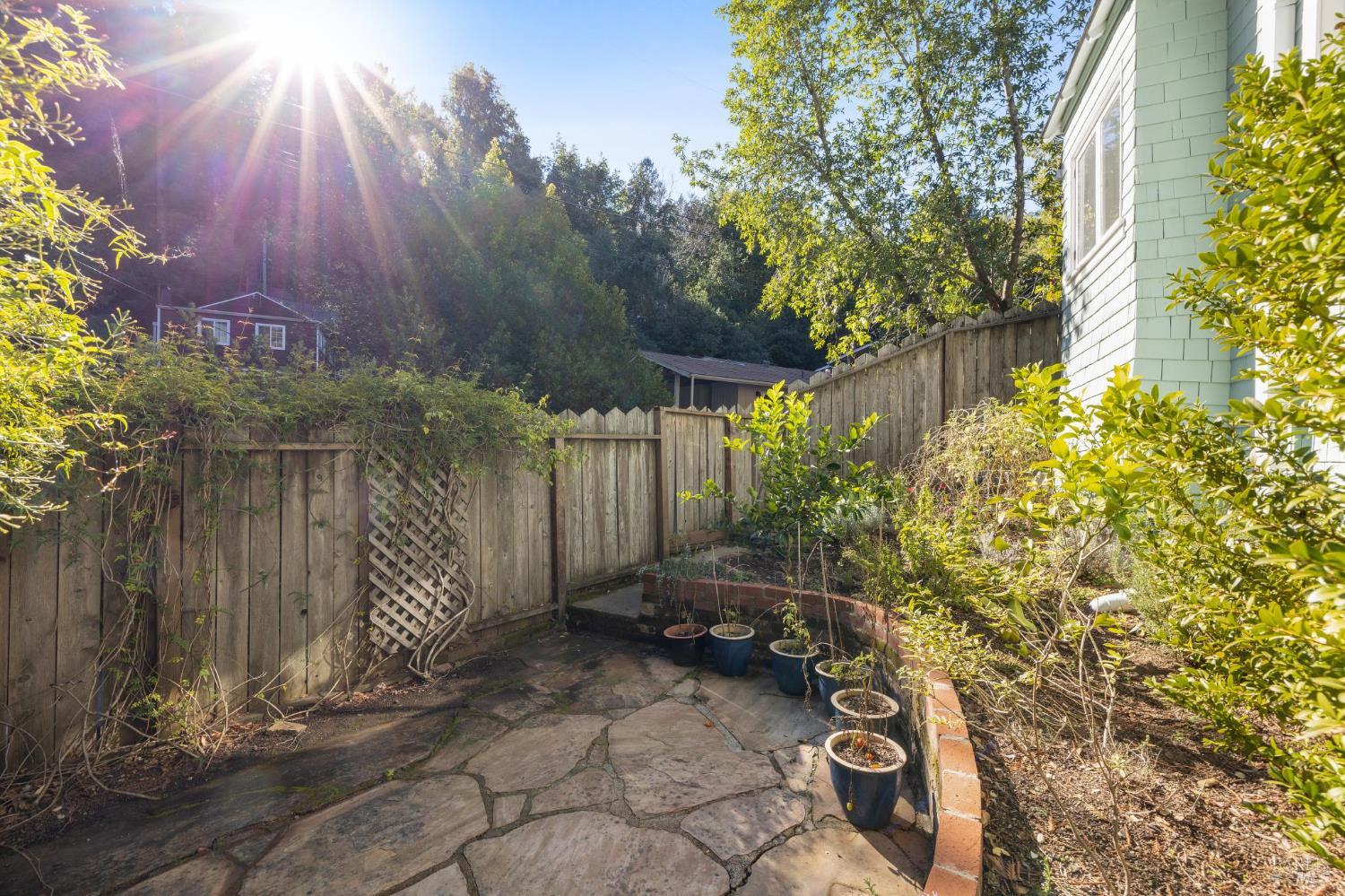 40 Canyon Road San Anselmo, CA 94960 - Photo 16 of 56 Yard for the main unit, number 2