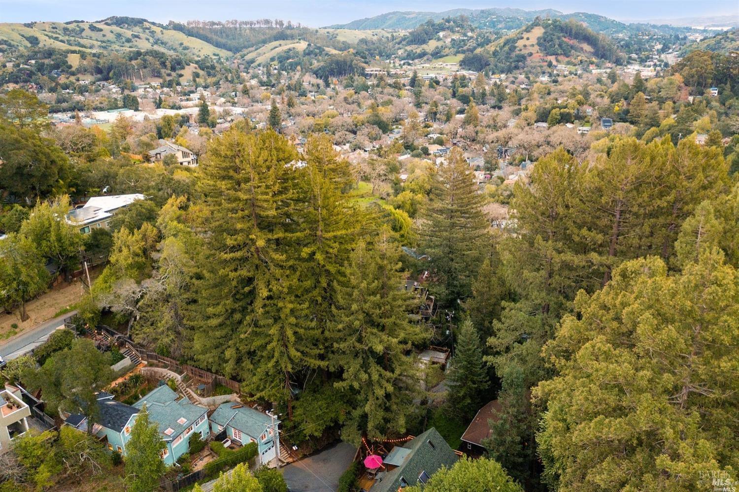 40 Canyon Road San Anselmo, CA 94960 - Photo 55 of 56