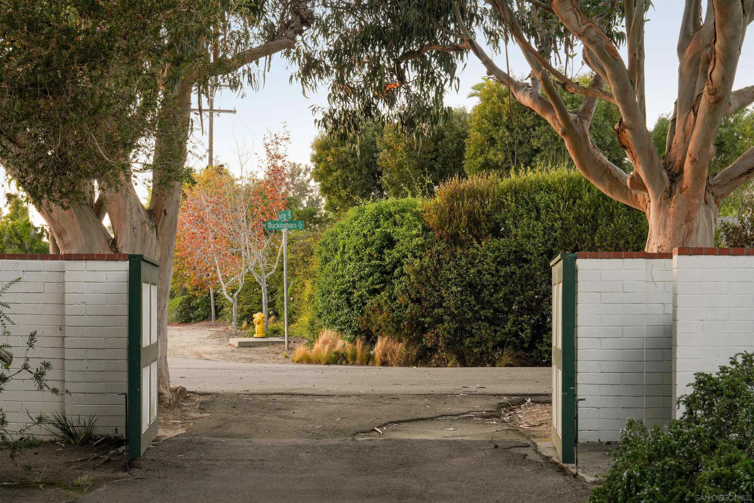 1654 La Jolla Rancho Road La Jolla, CA 92037 - Photo 25 of 31 a view of road with large trees