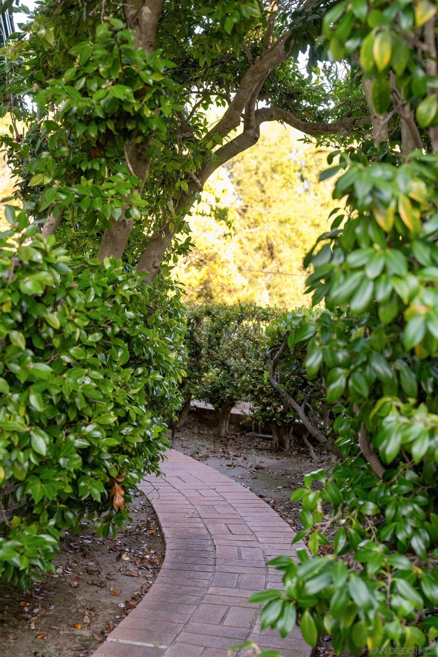 1654 La Jolla Rancho Road La Jolla, CA 92037 - Photo 26 of 31 a big yard with lots of green space