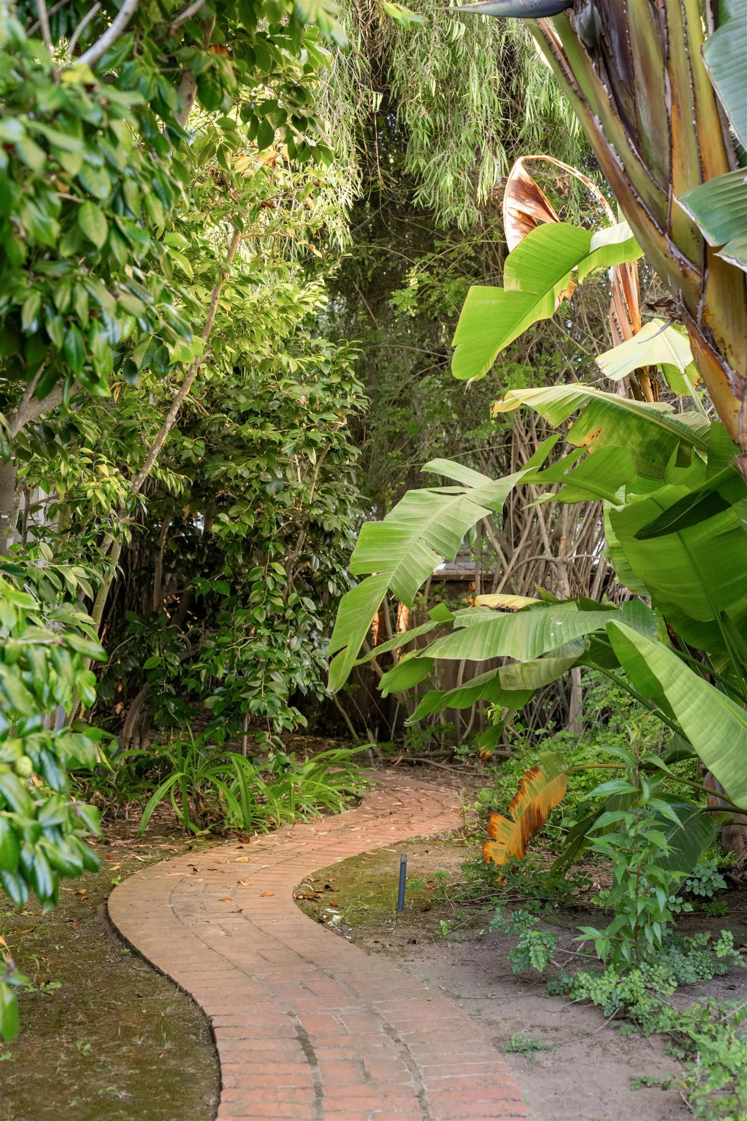 1654 La Jolla Rancho Road La Jolla, CA 92037 - Photo 27 of 31 a view of a yard