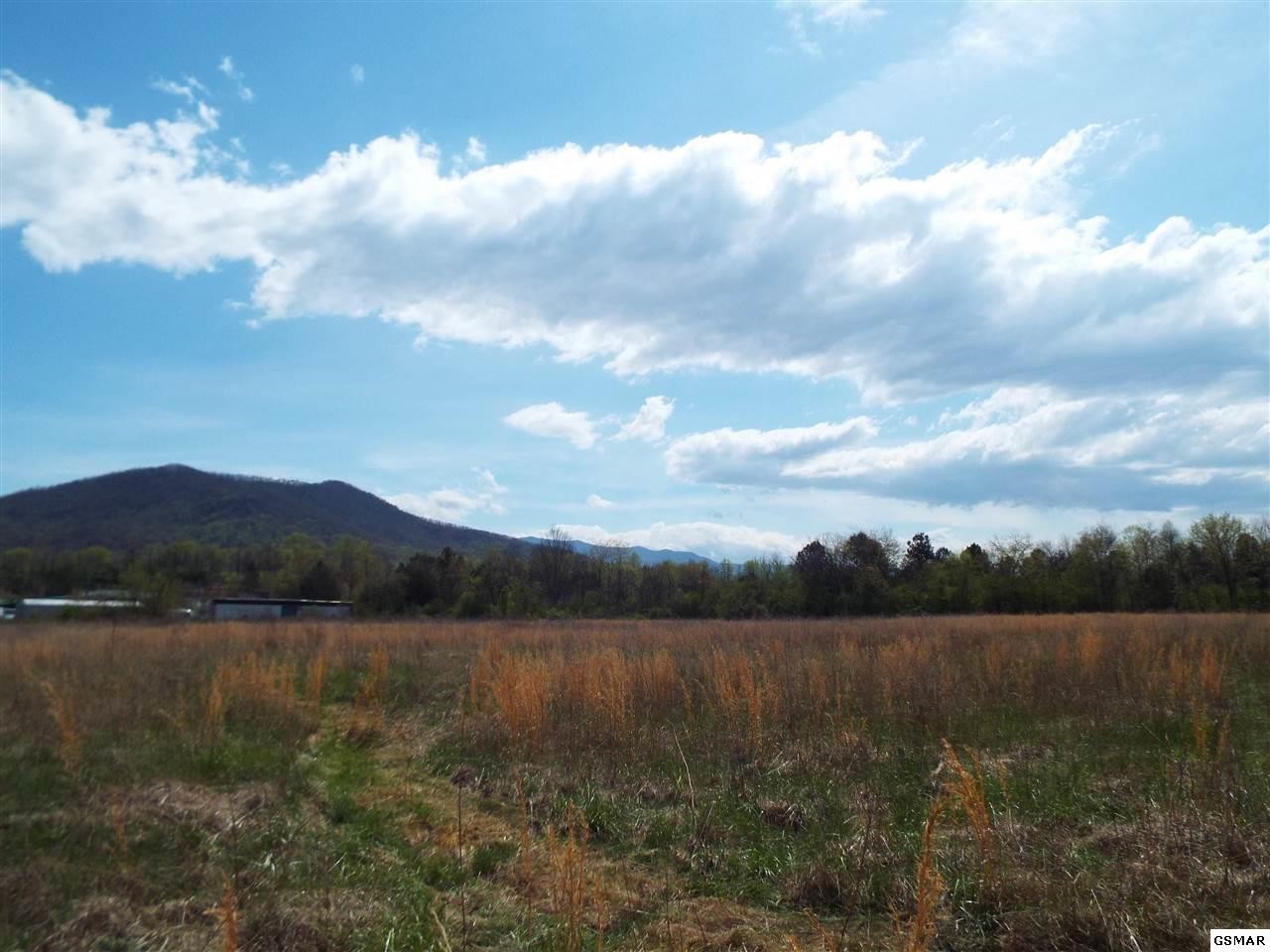 8 Padgett Mill Road Cosby, TN 37722 - Photo 1 of 14 Gallery Image 1