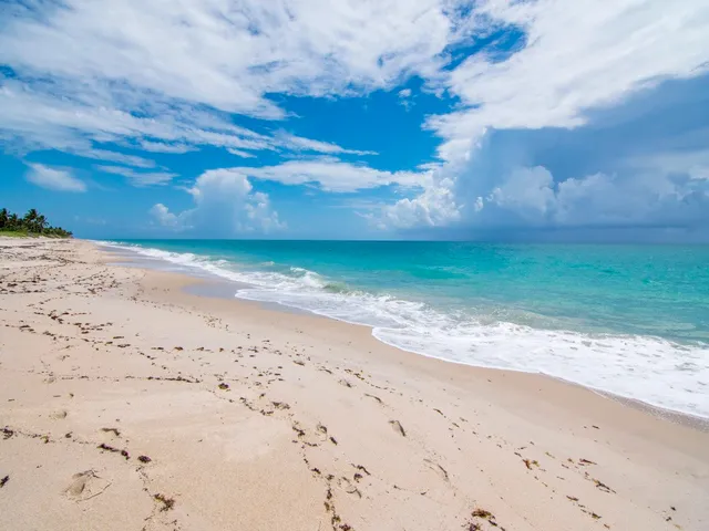 a view of a backyard of the house