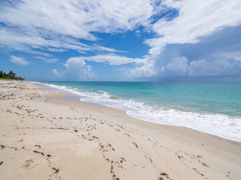 245 Springline Drive Vero Beach, FL 32963 - Photo 34 of 35 a view of a backyard of the house