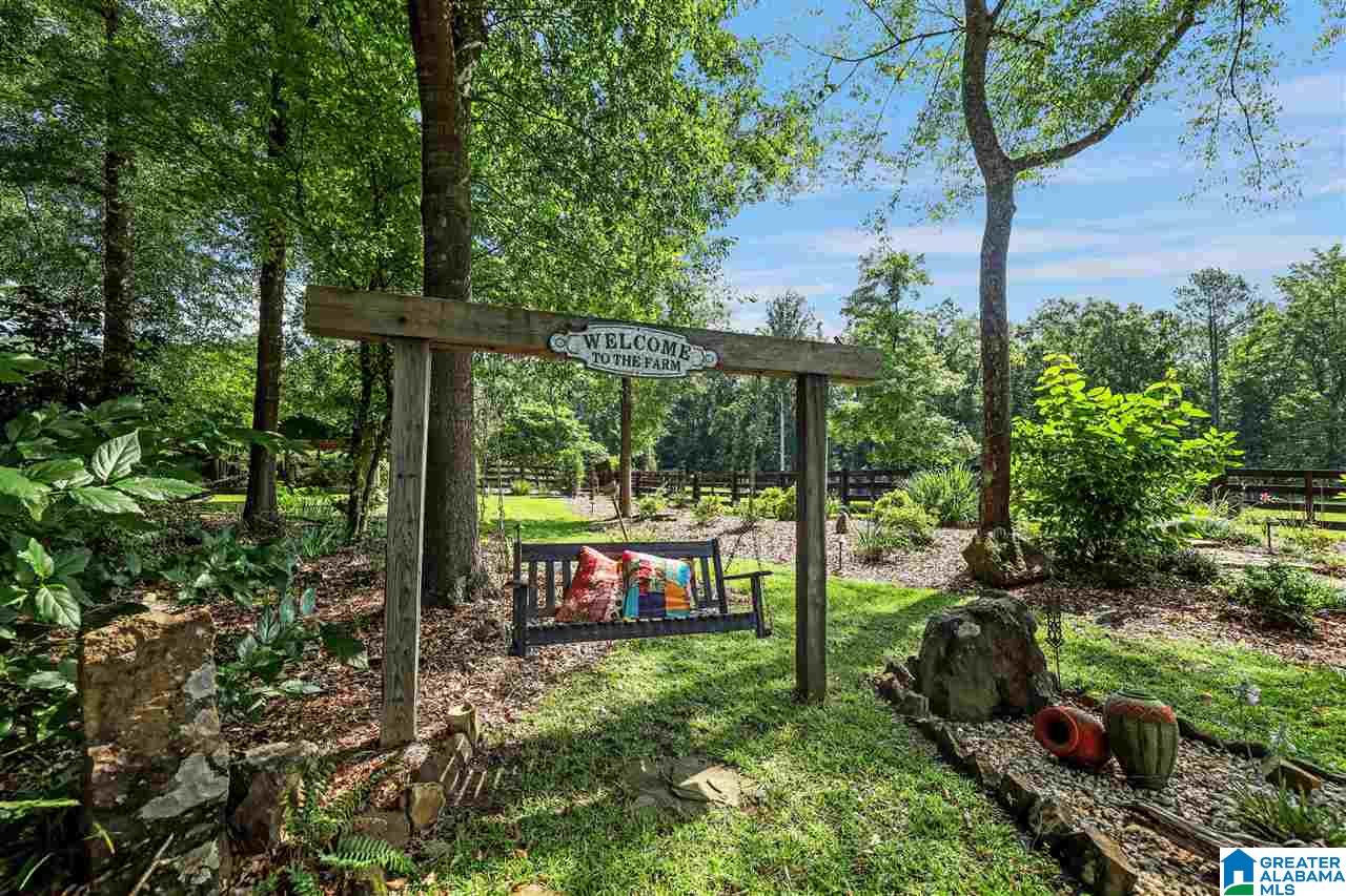 1675 Canoe Creek Road Springville, AL 35146 - Photo 10 of 50