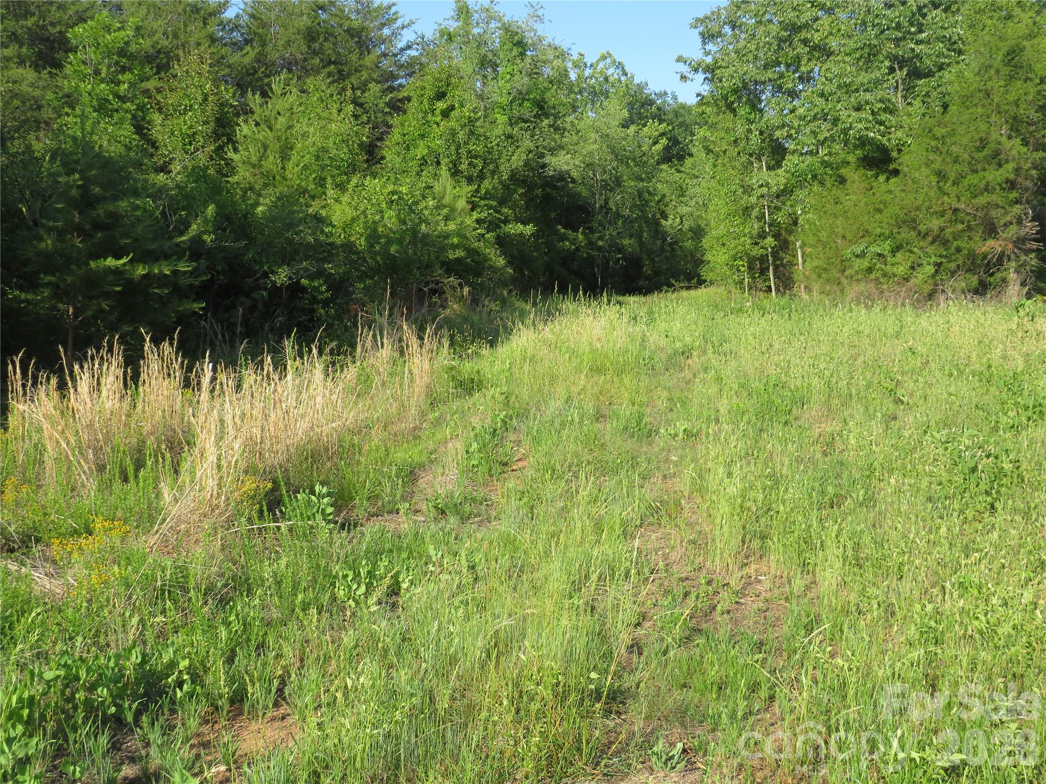 262 Flat Rock Road Forest City, NC 28043 - Photo 24 of 41