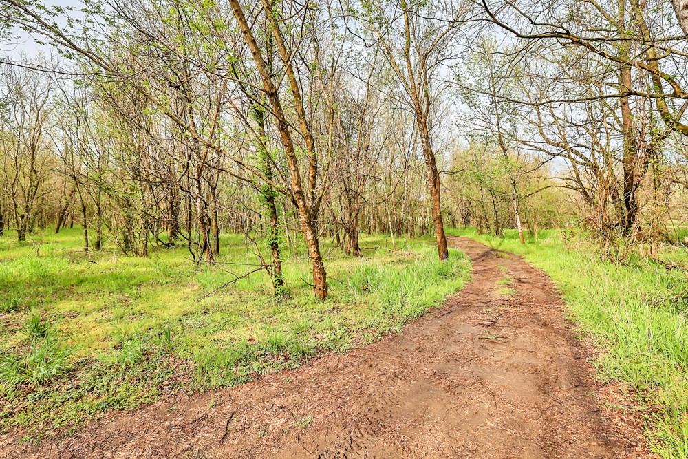 775 Bewleys Chapel Road Midway, TN 37809 - Photo 18 of 70 a view of yard with green space