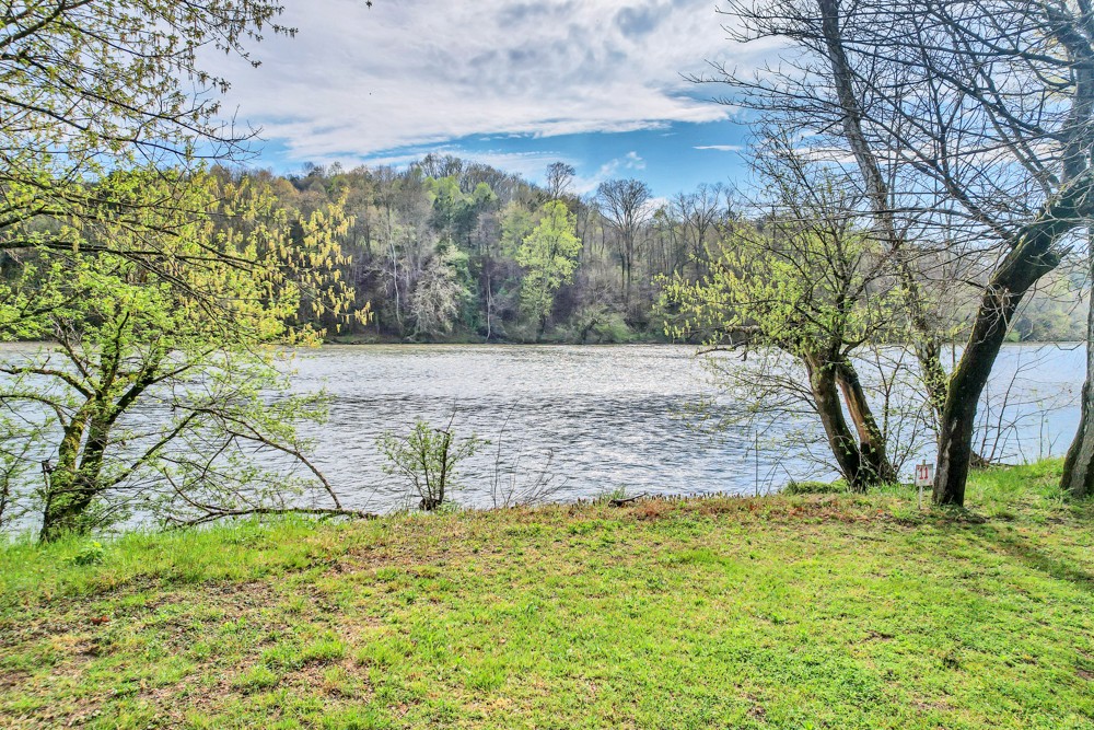 775 Bewleys Chapel Road Midway, TN 37809 - Photo 28 of 70 a view of a yard with an trees
