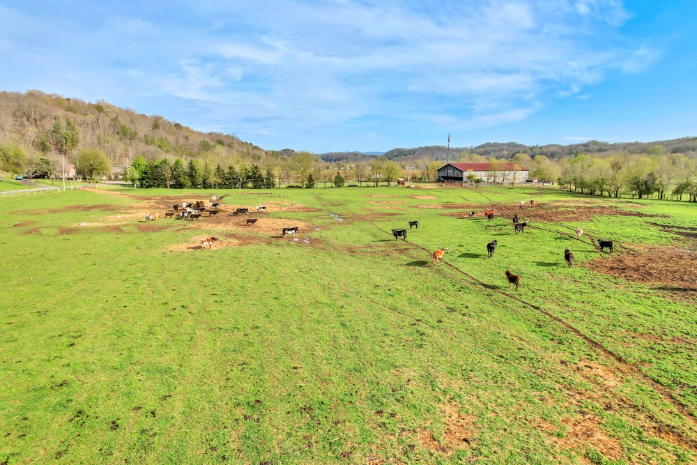 775 Bewleys Chapel Road Midway, TN 37809 - Photo 36 of 70