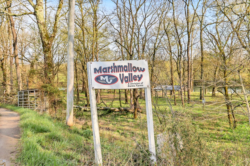 775 Bewleys Chapel Road Midway, TN 37809 - Photo 54 of 70