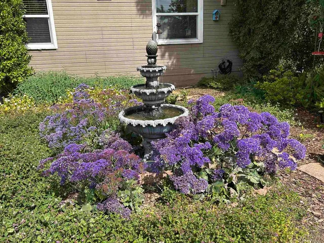 a view of a backyard with garden