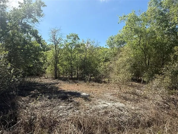 a view of a dry yard with trees