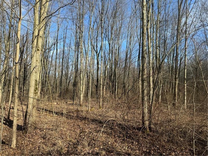 N & S Lots Us Rte 422w & Ambrosia Road Pulaski, PA 16143 - Photo 8 of 19 Gallery Image 8