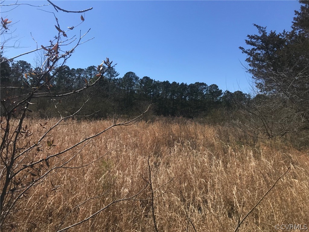 4-ac General Mahone Boulevard Ivor, VA 23866 - Photo 1 of 3 a view of lake with mountain