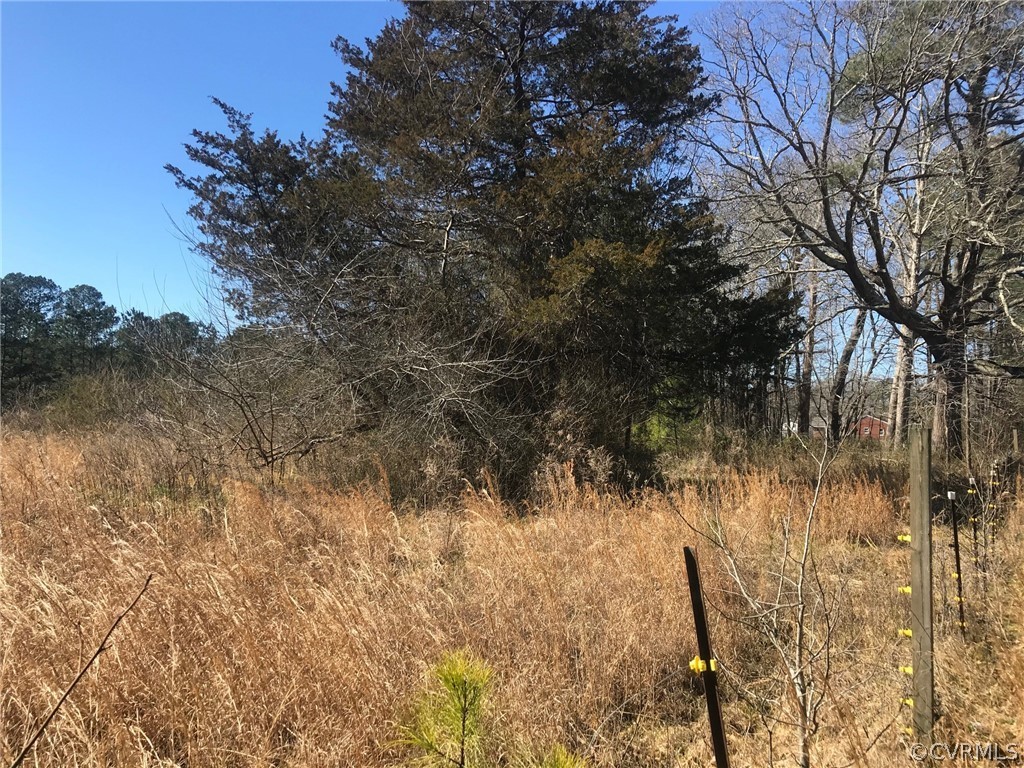 4-ac General Mahone Boulevard Ivor, VA 23866 - Photo 2 of 3