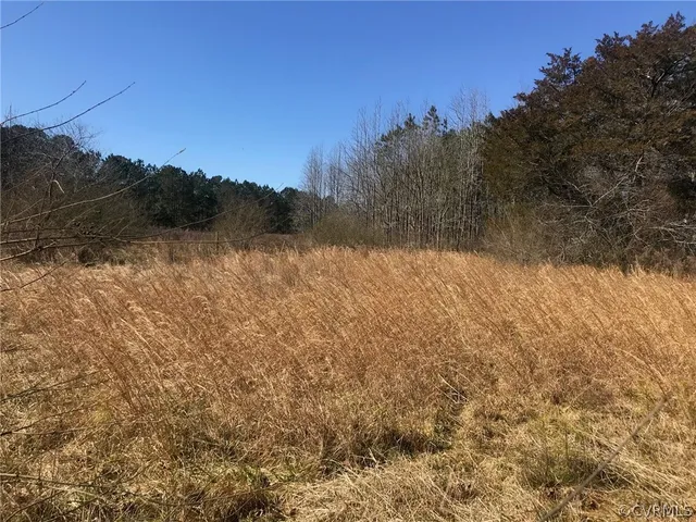 $35,000 | 4-ac General Mahone Boulevard, Ivor, VA 23866