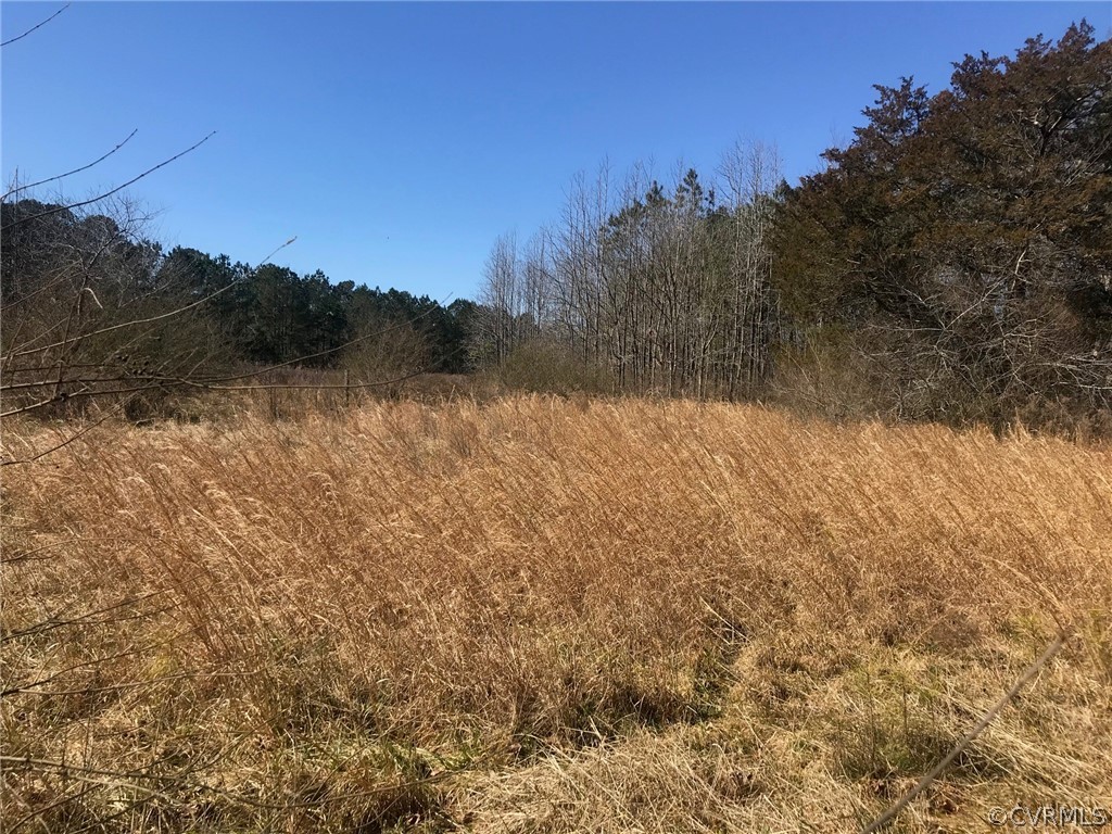 4-ac General Mahone Boulevard Ivor, VA 23866 - Photo 3 of 3 a view of lake and mountain
