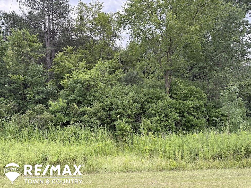 13496 North Lewis Road Clio, MI 48420 - Photo 51 of 53