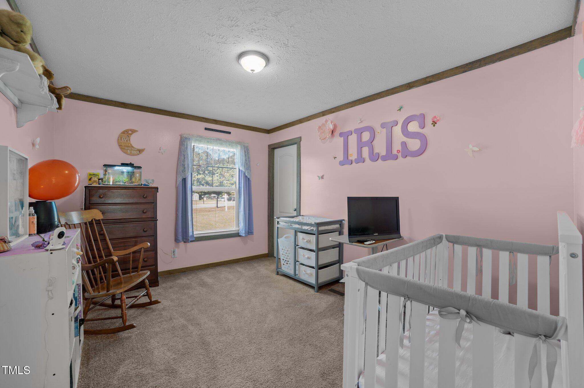 9677 Fire Tower Farm Road Whitakers, NC 27891 - Photo 21 of 42 23-web-or-mls-COX_1161