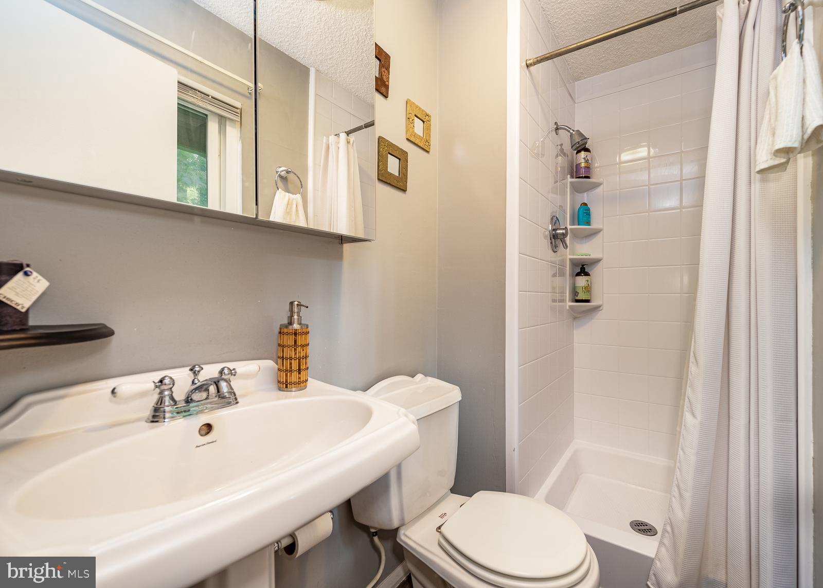 5405 Lightning View Road Columbia, MD 21045 - Photo 21 of 50 Master bath