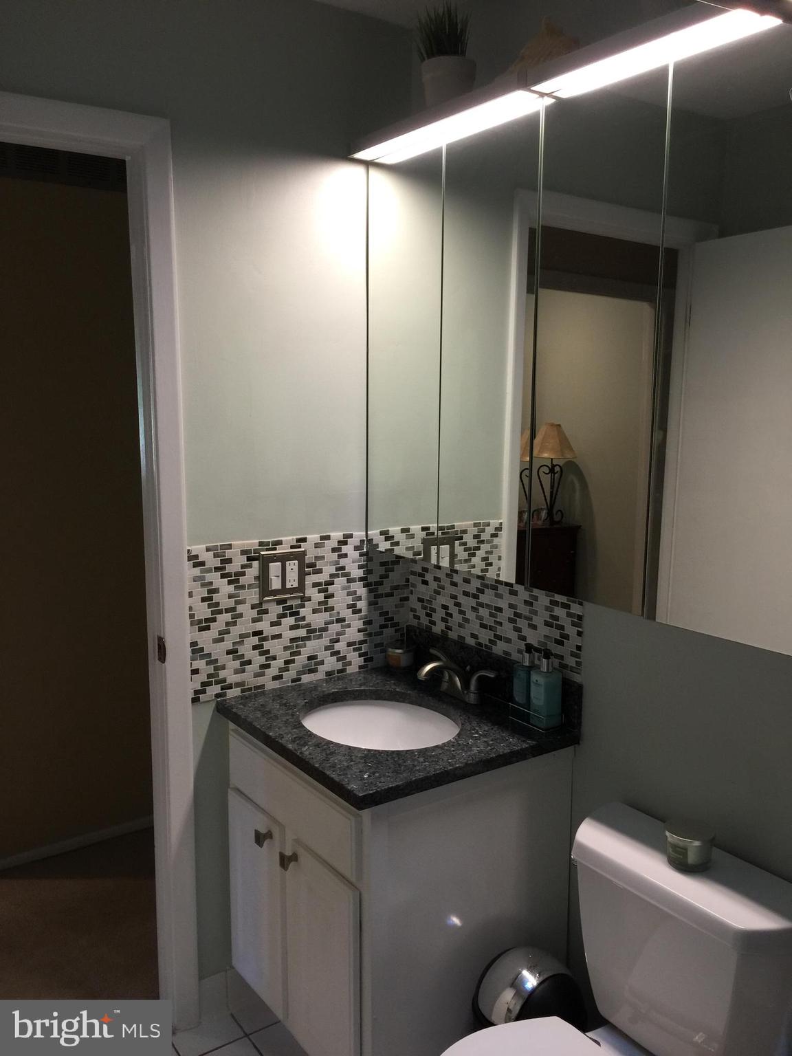 5405 Lightning View Road Columbia, MD 21045 - Photo 27 of 50 full bath has new floor, double medicine cabs