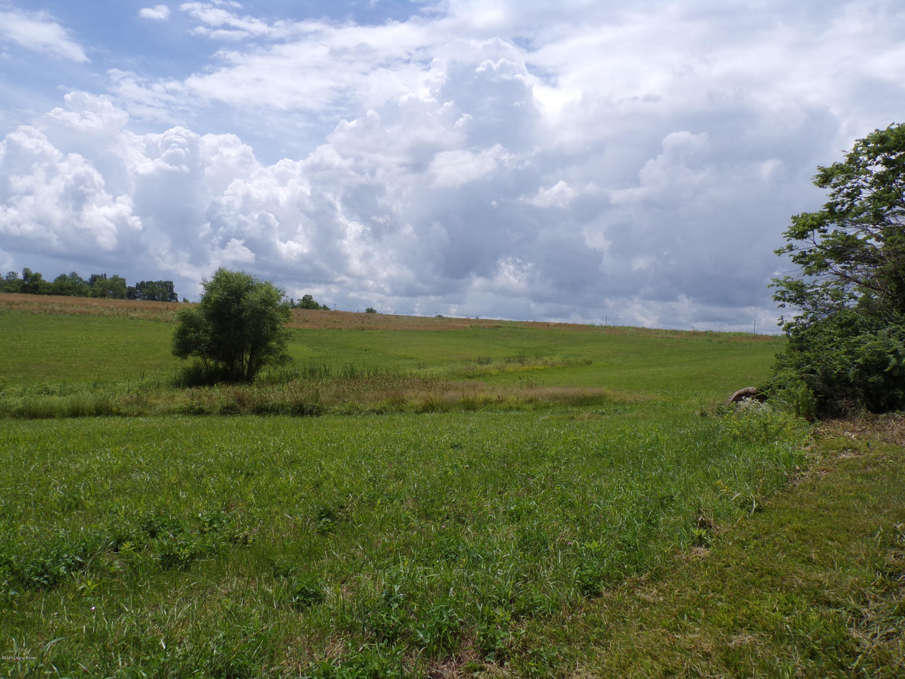 Lot 6 Sulpher Road Sulphur, KY 40070 - Photo 12 of 16 101_0313
