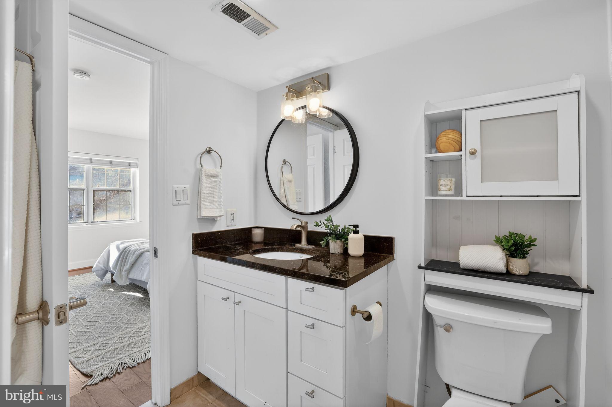 3805 Porter Street Northwest, Unit 201 Washington, DC 20016 - Photo 18 of 19 a bathroom with a granite countertop sink and a mirror