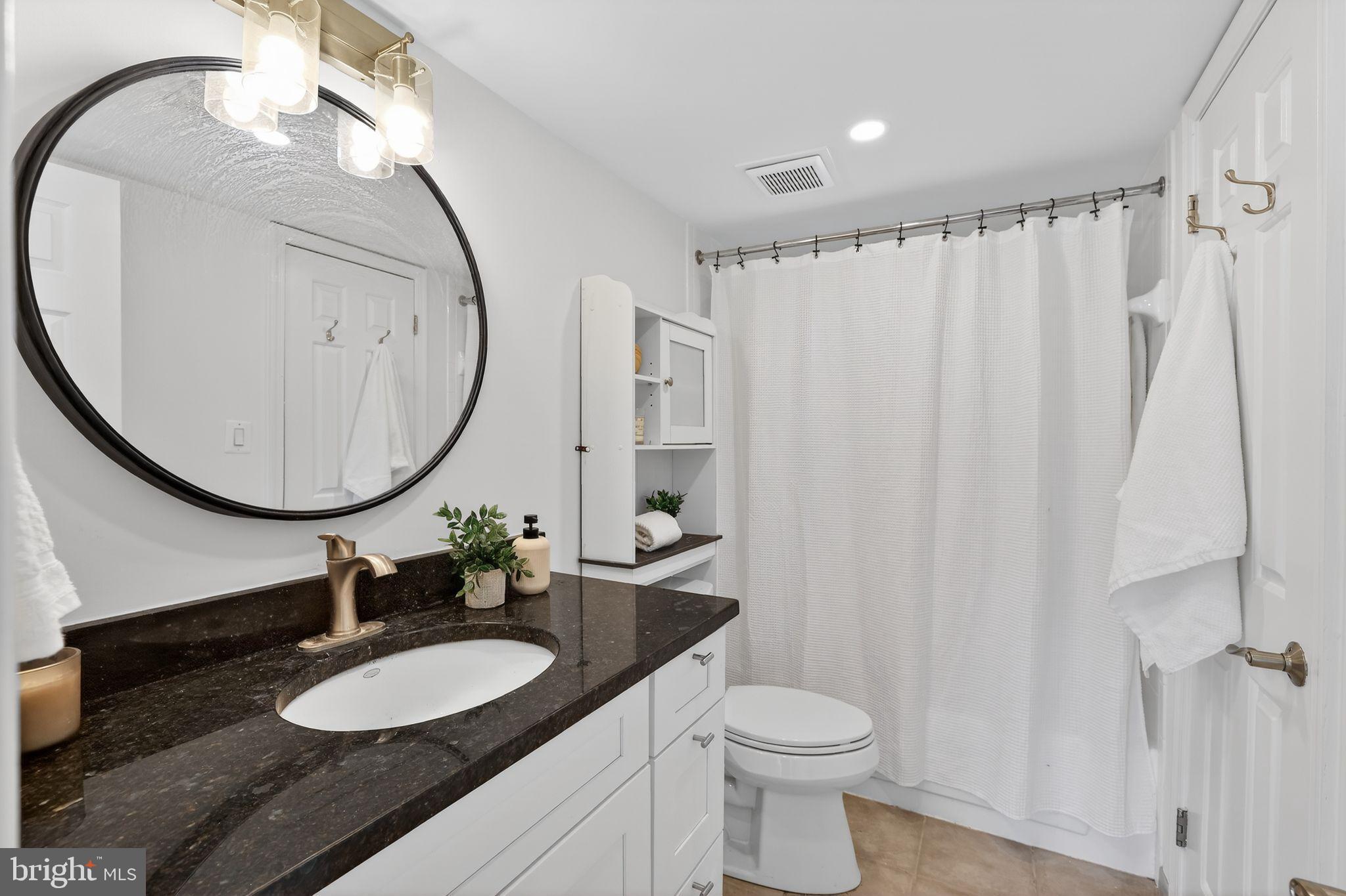 3805 Porter Street Northwest, Unit 201 Washington, DC 20016 - Photo 7 of 19 a bathroom with a sink a toilet and a mirror