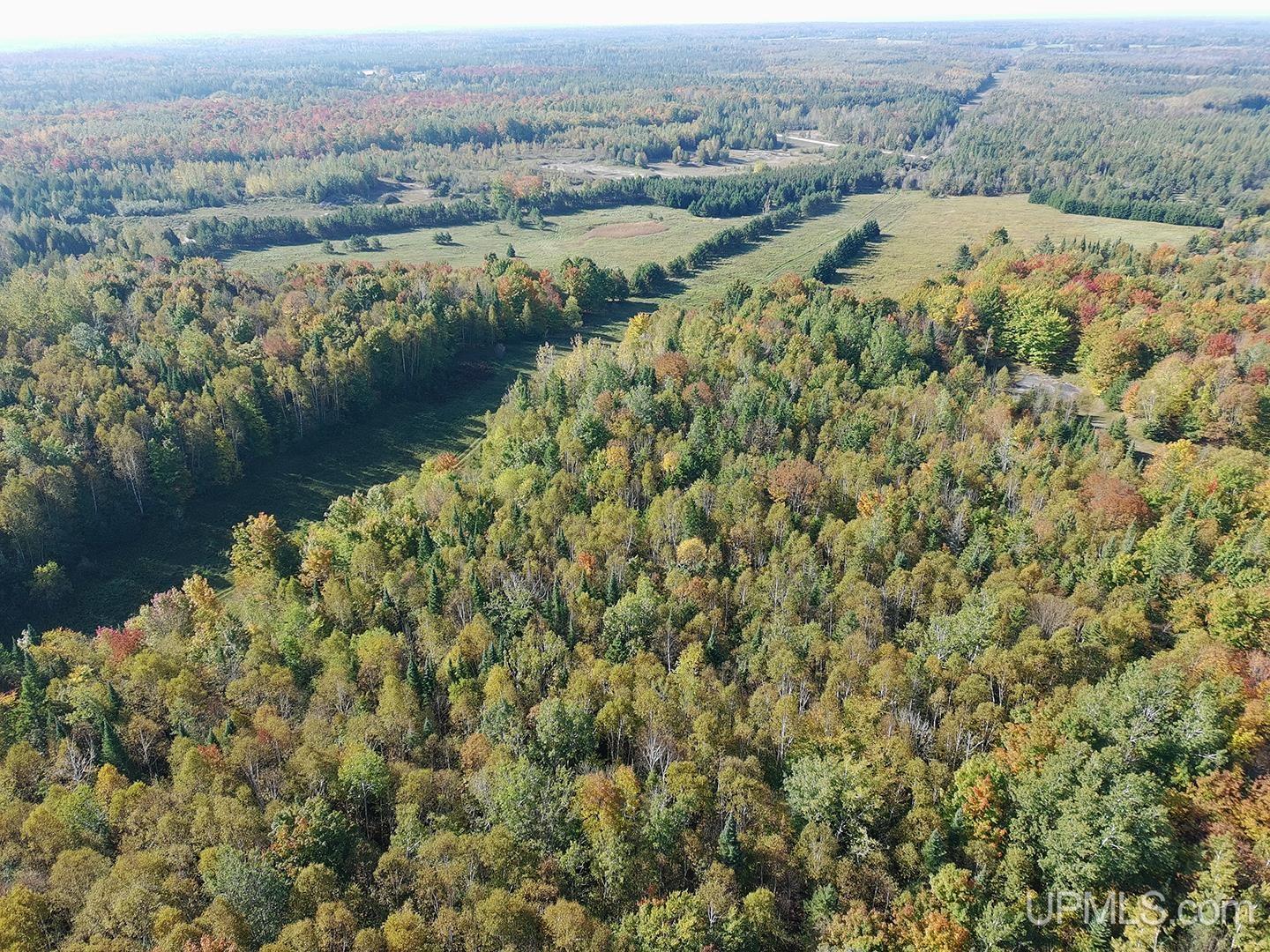 40-acres County Pit Road, Unit PARCEL #2 Manistique, MI 49854 - Photo 51 of 51 Gallery Image 51