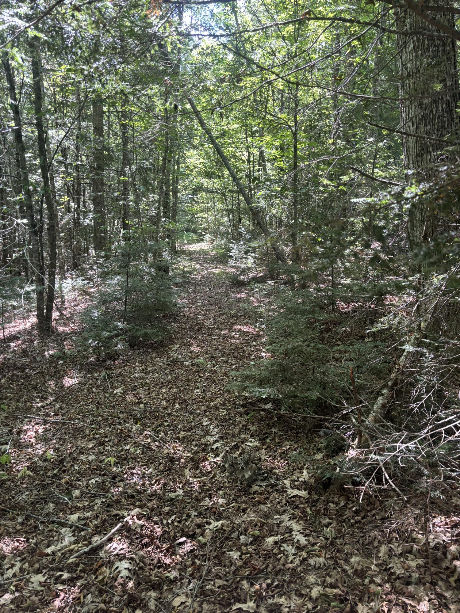 1035 Airline Road Clifton, ME 04428 - Photo 34 of 35 1000004768