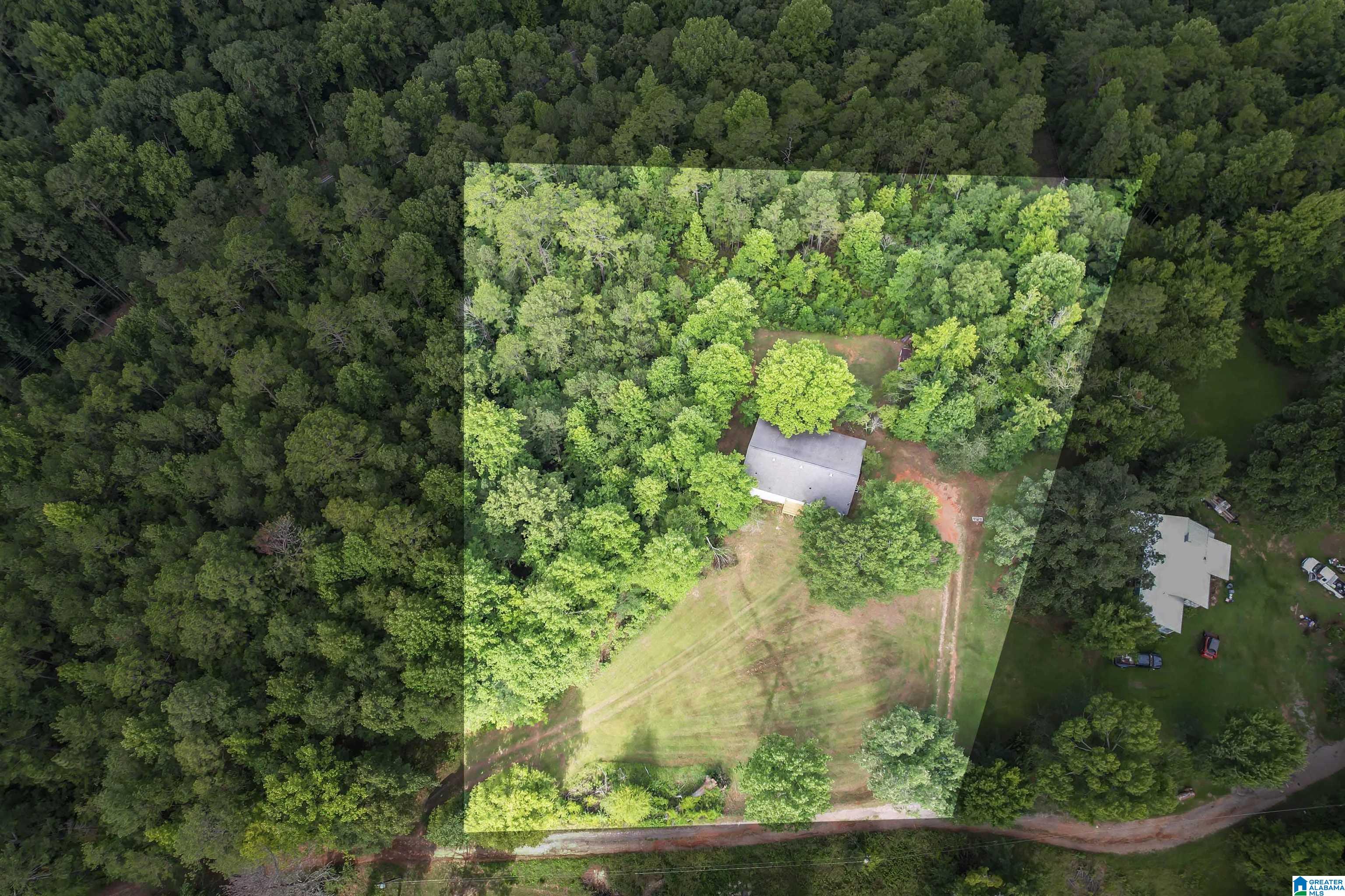 225 Sunset Hl Road Pell City, AL 35128 - Photo 6 of 33